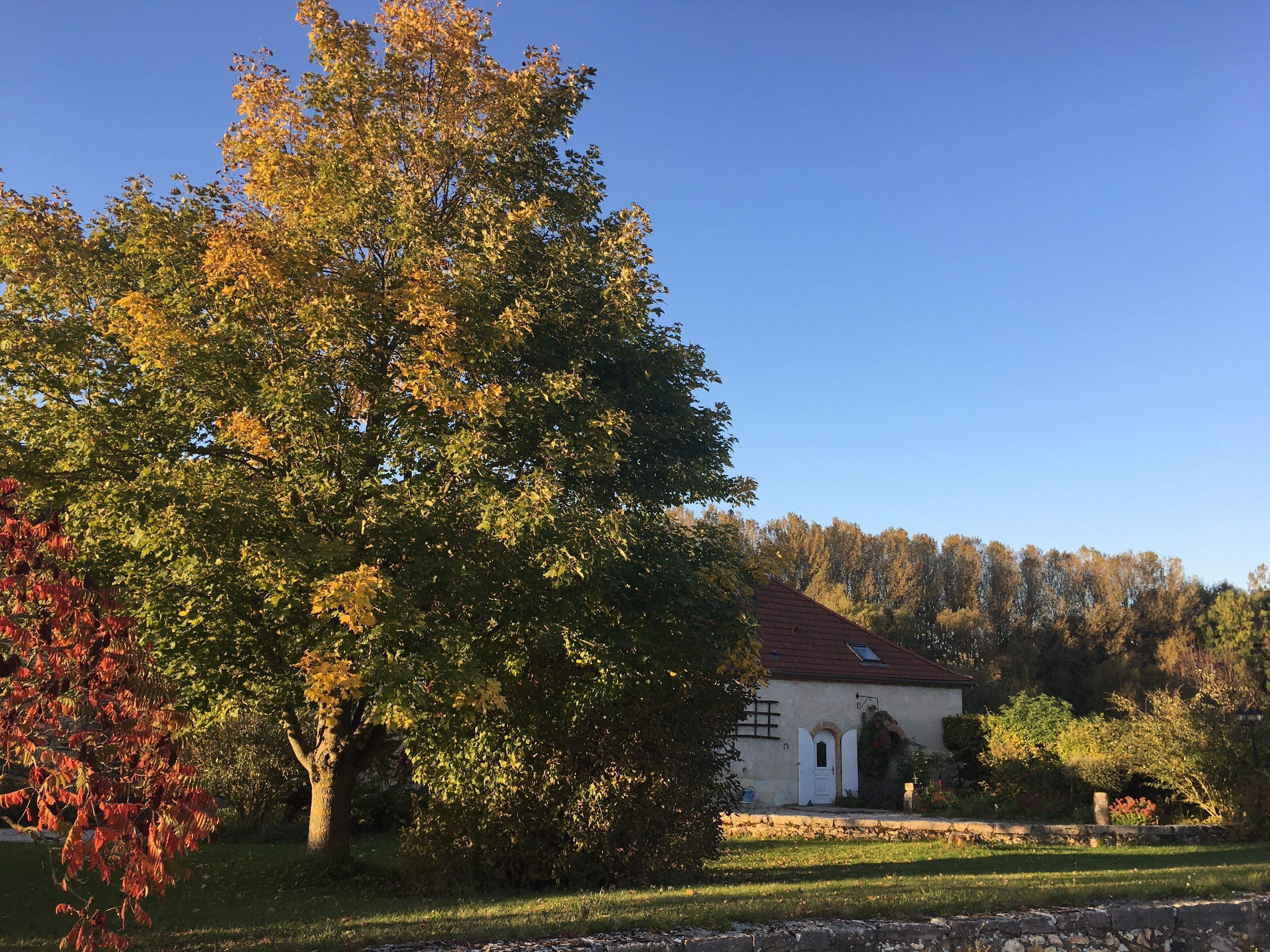 Large family gite between Epernay and Reims, in the heart of Champagne UNESCO