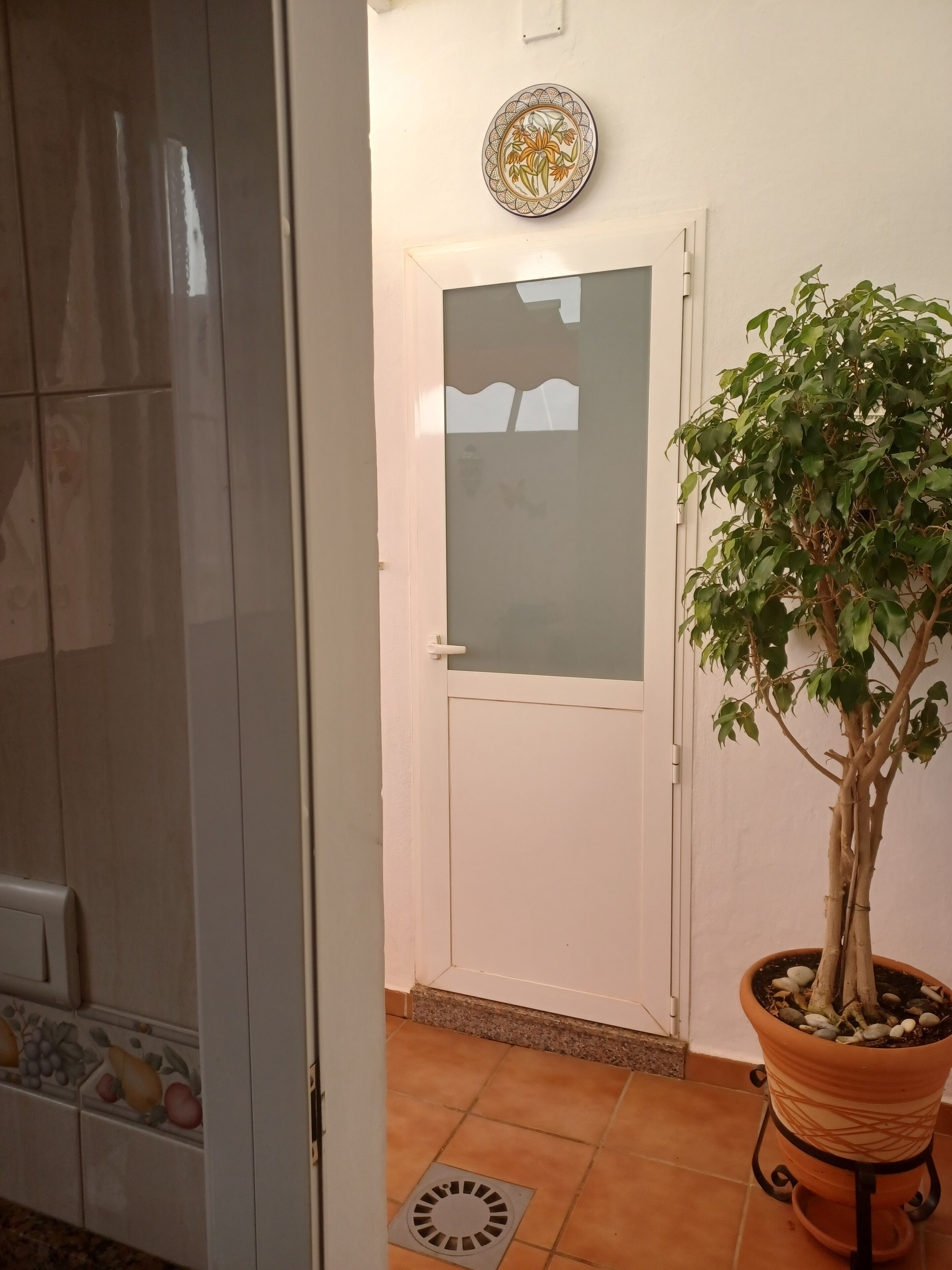A room with a white door, a potted plant, and a decorative plate on the wall.