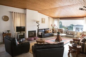 TV, fireplace, DVD player, books