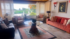 TV, caminetto, lettore DVD, libri