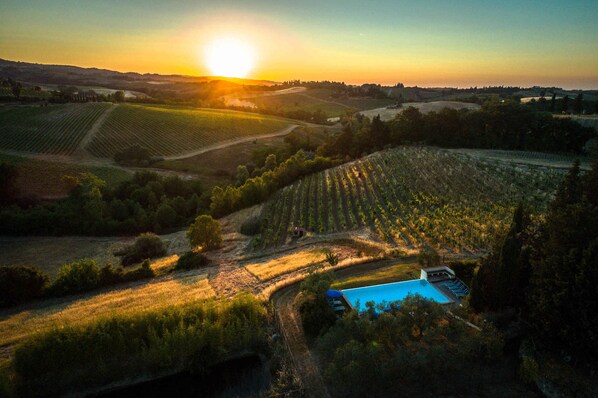 An aerial view of a vineyard with rows of grapevines, a swimming pool, and a small building.