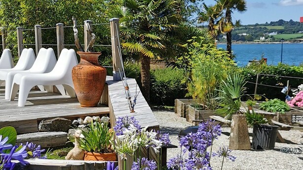 Eine Terrasse mit weißen Plastikstühlen, einem großen Terrakottatopf und verschiedenen Kübelpflanzen, darunter blühende Veilchen.