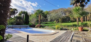 Patio con piscina, rodeado de plantas y árboles.