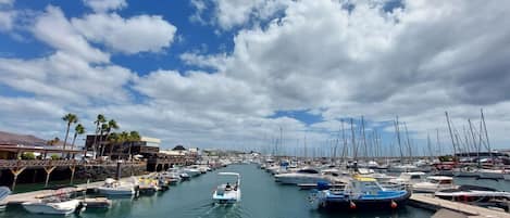 Marina
