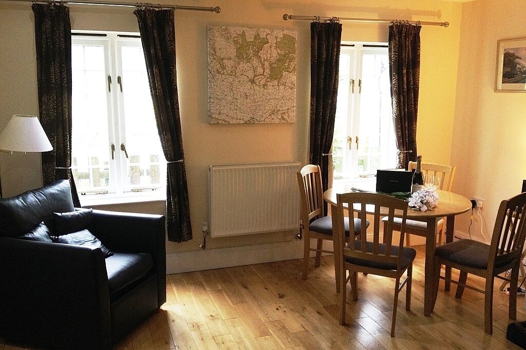 تلفزيون ذكي، مدفأة، مشغل دي في دي، كُتُب