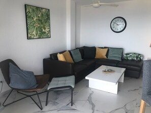 Télévision, lecteur de DVD, livres, vidéothèque