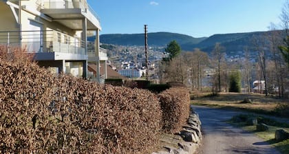 GERARDMER apartment 50m from the lake and 800m from the town center