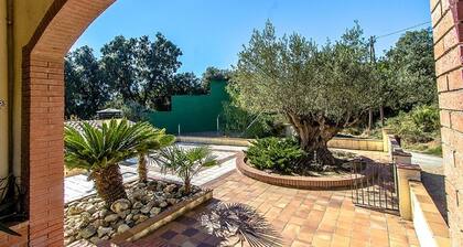 Voiko Panxan maaseudun asunto 24 hengelle