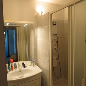 Regadera, secadora de cabello, papel de baño 