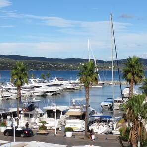 Marina con varias embarcaciones amarradas, palmeras y un paisaje montañoso al fondo.