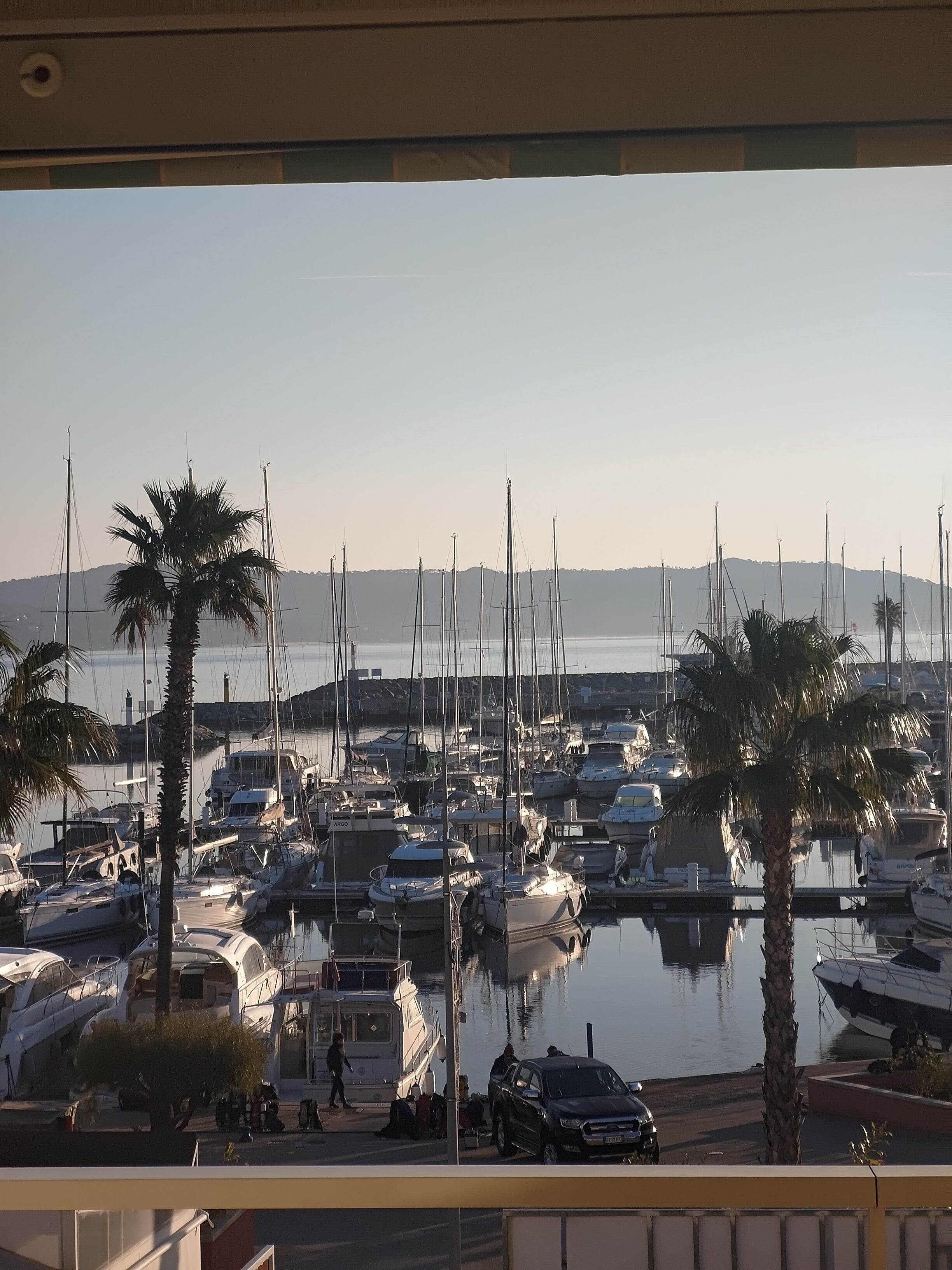 A marina with multiple boats docked, palm trees, and a clear view of the water.