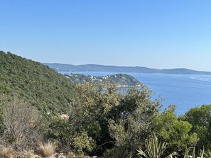A coastal landscape with a clear view of the sea, a hill with dense vegetation, and a small island in the distance.