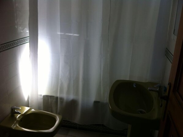 Une salle de bain équipée de toilettes, d’un bidet et d’un rideau de douche.