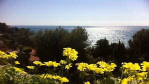 Eine Küstenlandschaft mit gelben Blumen im Vordergrund und Blick auf das Meer im Hintergrund.