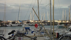 Ein Yachthafen mit verschiedenen vertäuten Booten, darunter Segelboote und Motorboote.