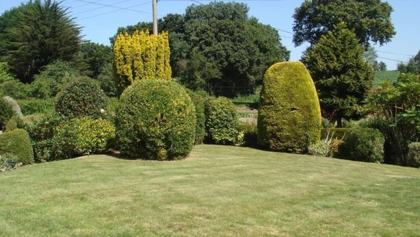 A well-maintained lawn with neatly trimmed hedges and a variety of trees. - House / Villa - MORIEUX (Morieux)