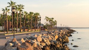 A coastal promenade with a rocky shoreline, palm trees, and street lamps. - Paraiso Azul Hotel (Loreto)