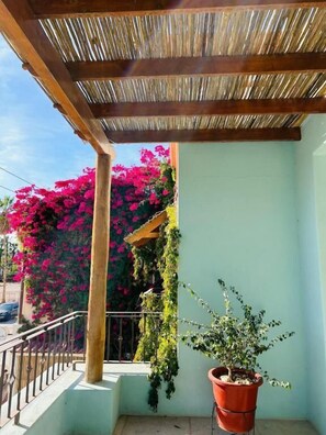 Terrace/patio - Paraiso Azul Hotel (Loreto)