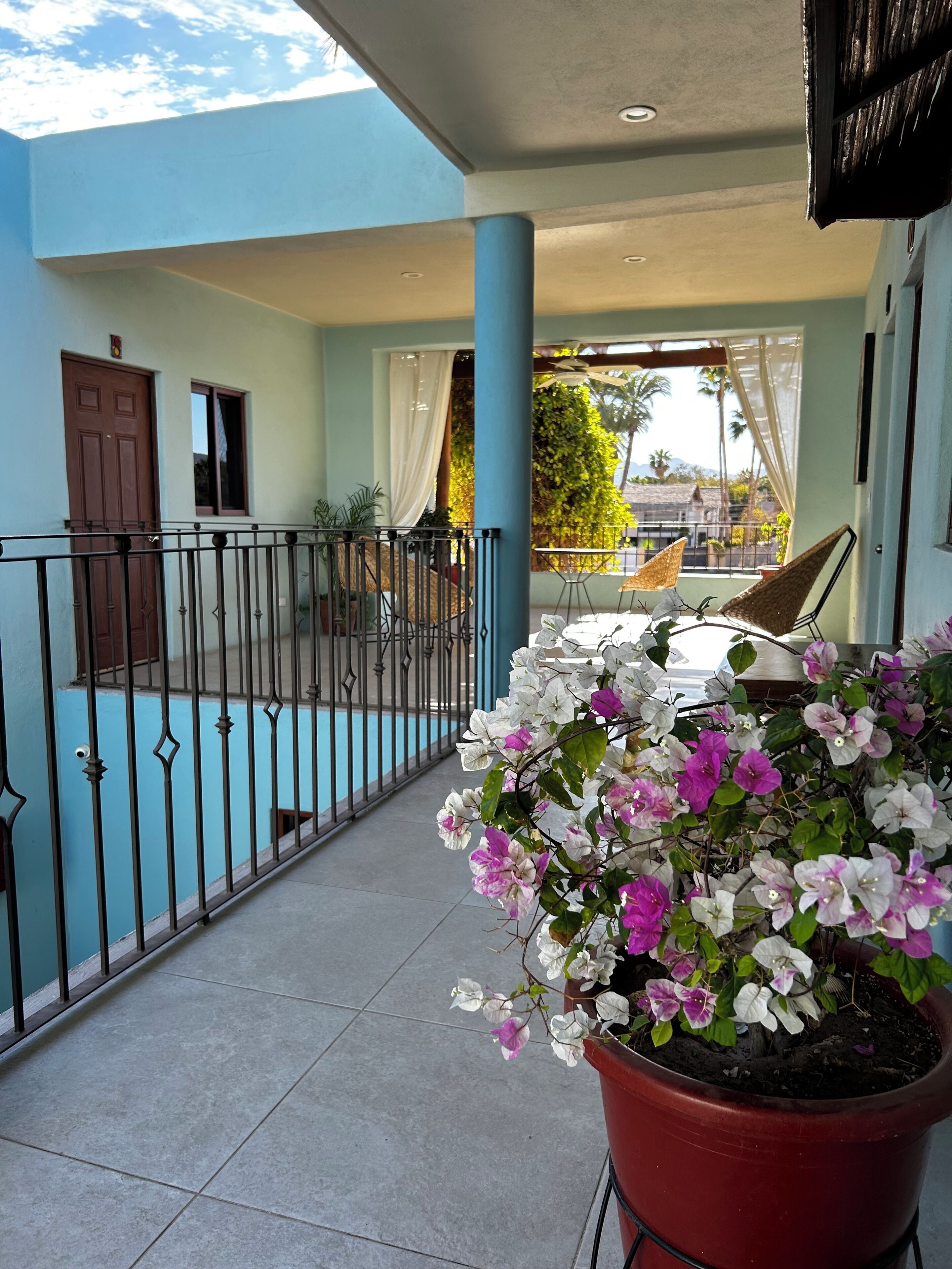 Ein Balkon mit einem Blumentopf, einer Tür und Blick auf ein Gebäude mit Balkon.