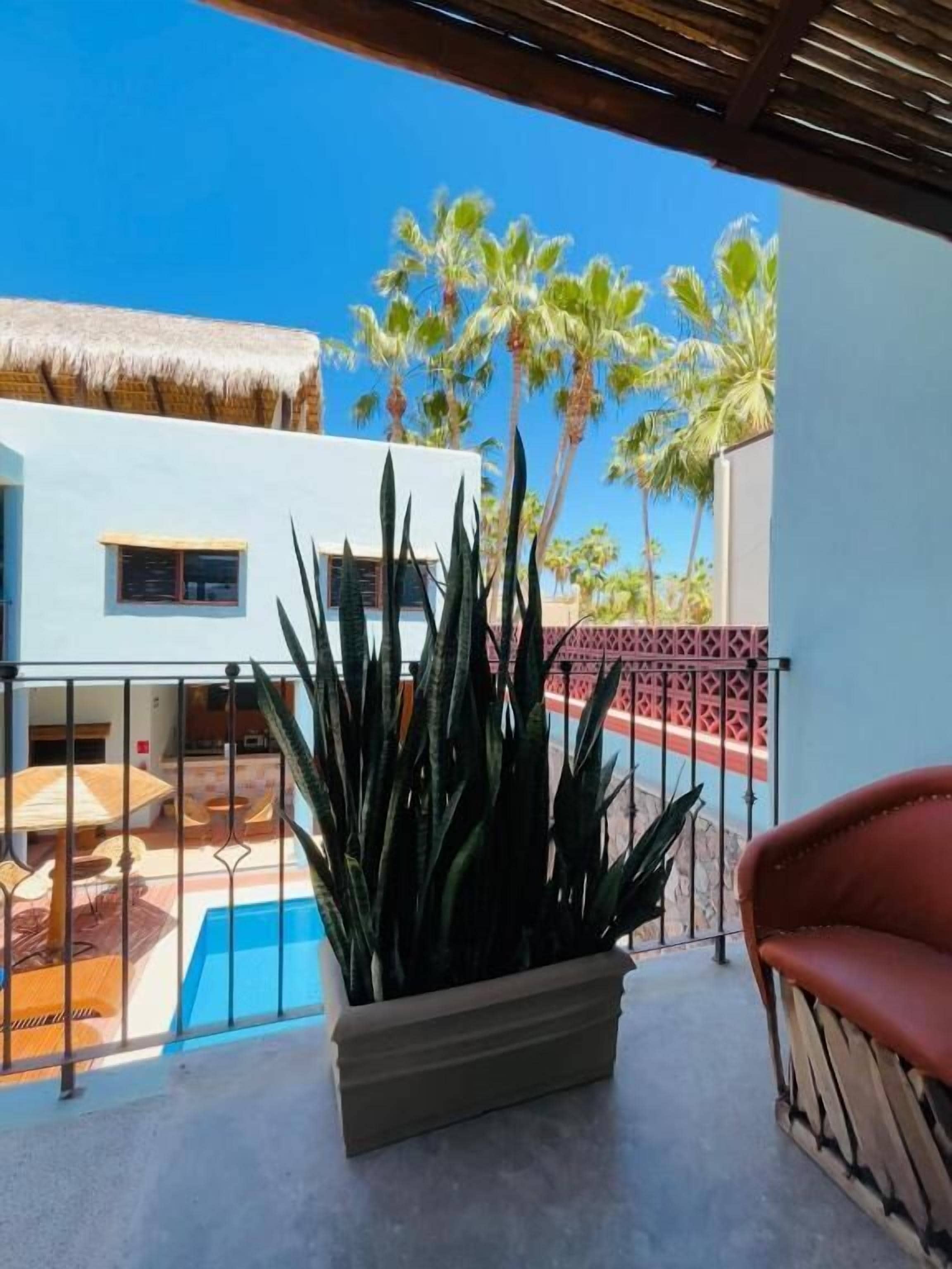 Un balcone con una pianta in vaso, una piscina e vista su un edificio con palme.