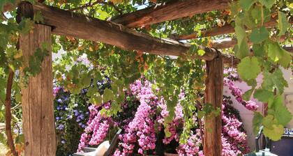 Large 16-century townhouse in Osuna with a garden and a pool