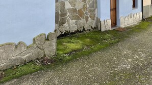 A rustic building with a stone facade, a wooden door, and a small balcony with potted plants. - Rural Accommodations Casa Fabián, La Cabaña (Pet Friendly)  (Castrillón)