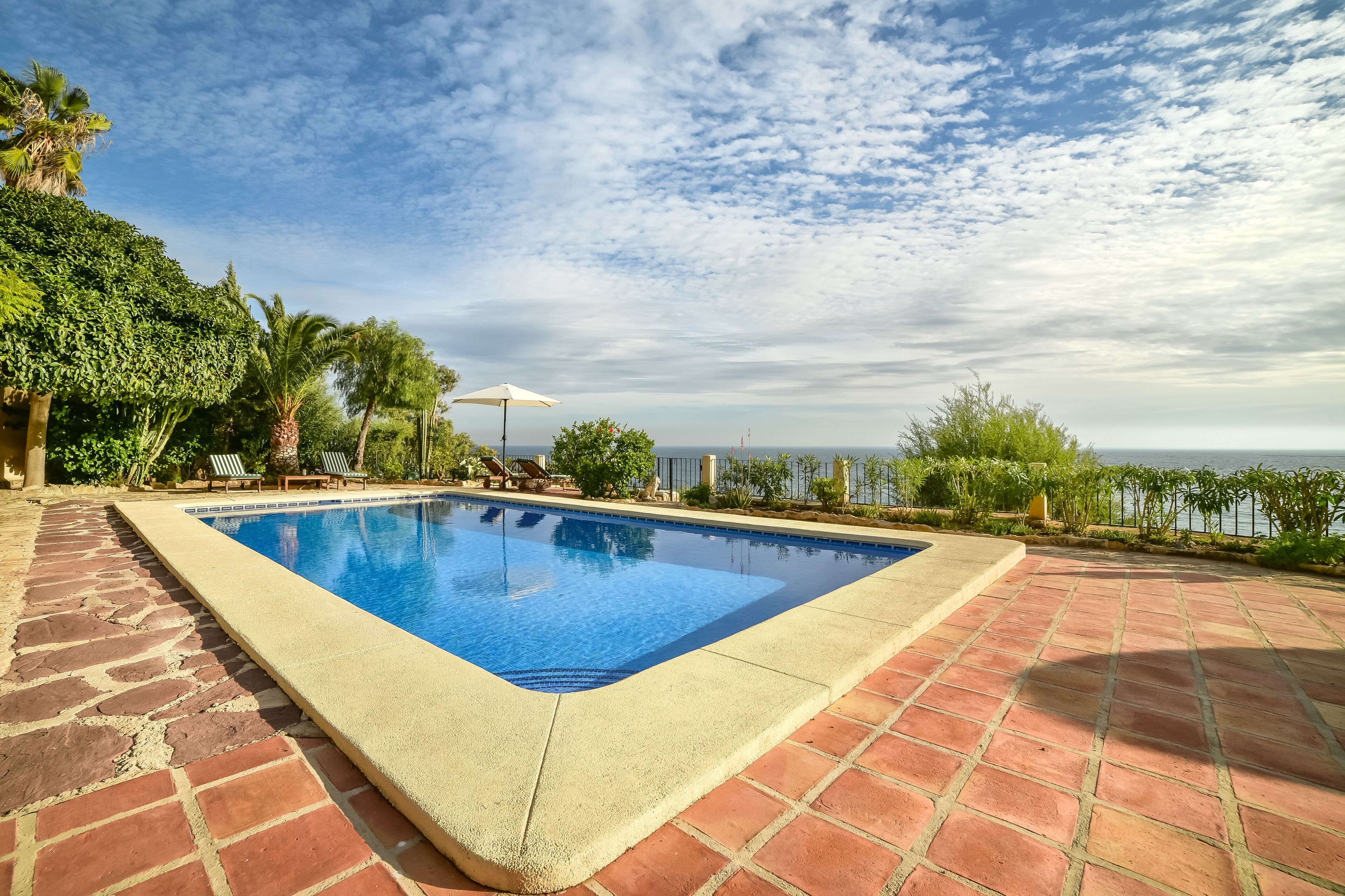 Ein rechteckiger Pool mit einer gefliesten Umrandung, umgeben von einer Pflasterterrasse.