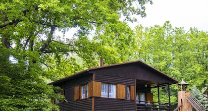 Le Chalet Hideaway Ash Connexion au Trnavka lac, forĂȘt et les montagnes, les animaux de compagnie