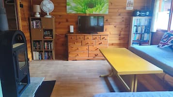 Televisión, chimenea, videojuegos, reproductor de DVD