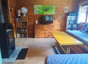 TV, fireplace, video games, DVD player