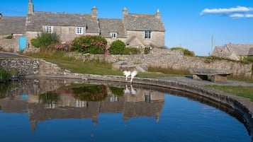 Terrein van de accommodatie
