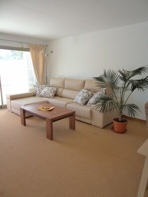 TV, DVD player, books, stereo