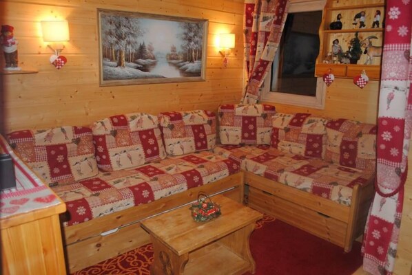 TV, DVD player, video library