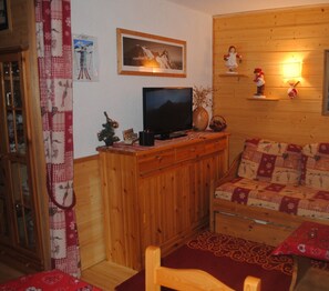 TV, DVD player, video library