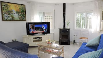 Télévision, cheminée, livres, chaßne hi-fi