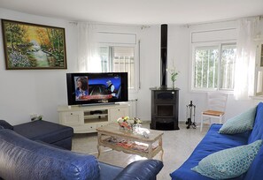 TV, peis, bøker og stereoanlegg