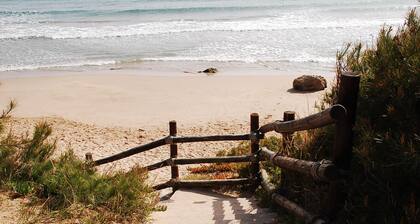 Comfortable Apartment in the south of France