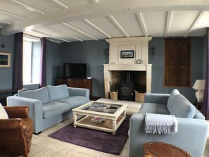 Smart TV, chimenea, reproductor de DVD y libros 