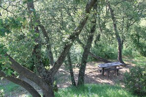 Buiten dineren