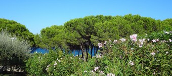 Maison avec jardin de 100 m de la mer