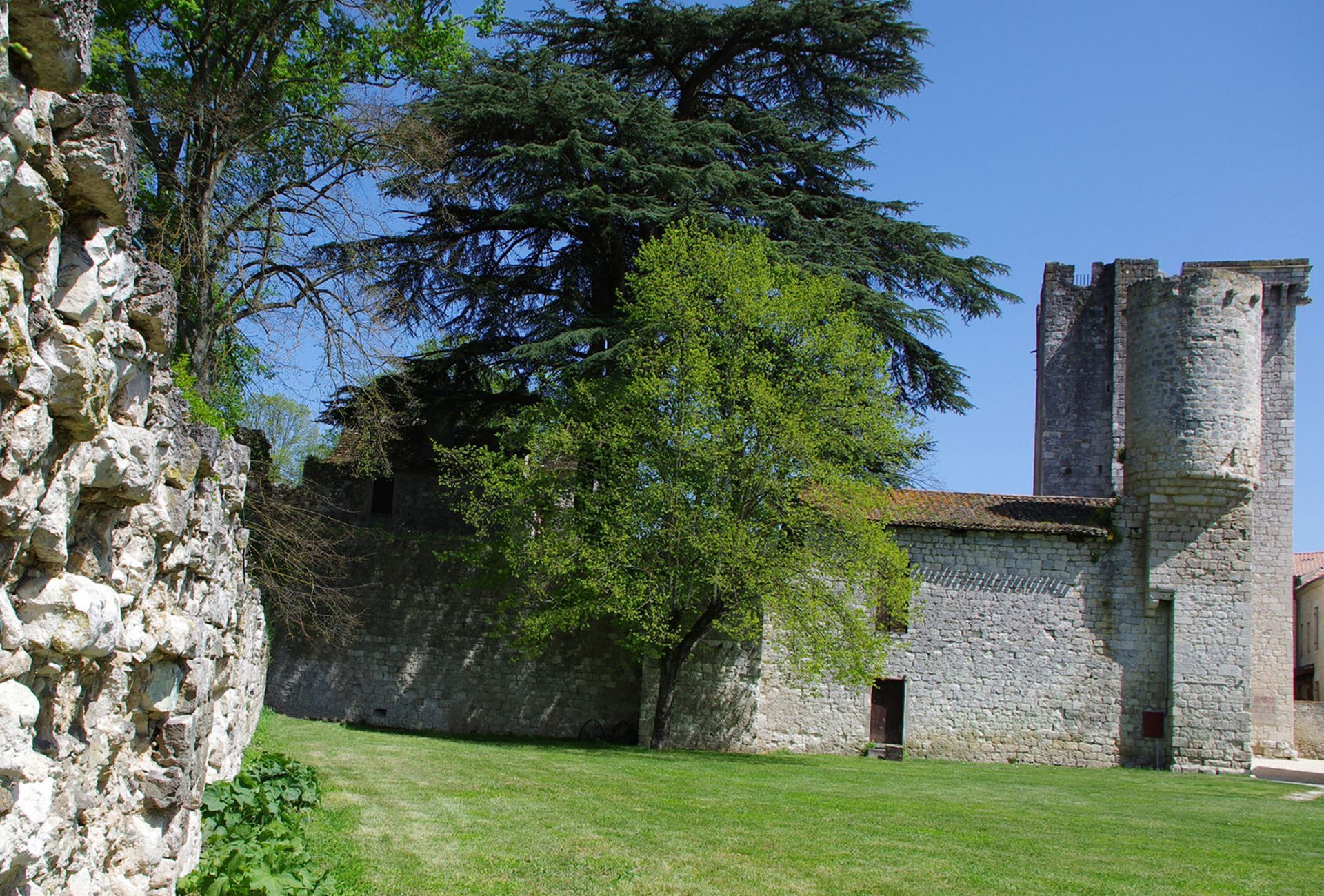 Un bâtiment en pierre avec un grand arbre devant, une cour verdoyante et une tour en arrière-plan.