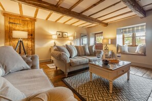 Televisor, llar de foc i reproductor de DVD 