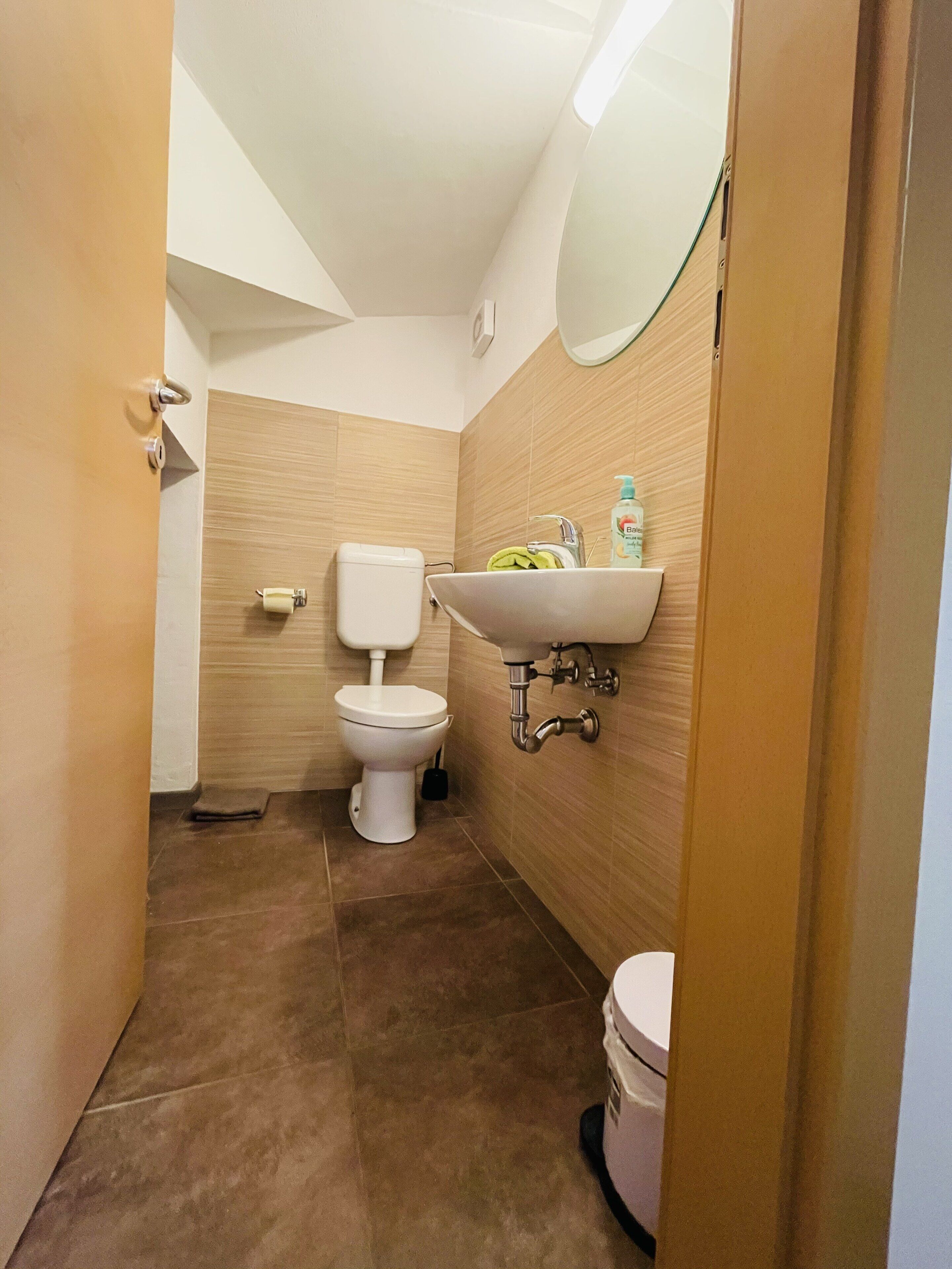 Een kleine badkamer met toilet, wastafel en spiegel.