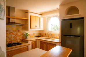 A kitchen with wooden cabinets, a stainless steel refrigerator, a gas stove, and a window with a view of greenery.
