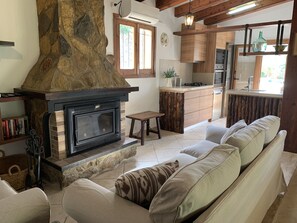 Télévision, cheminée, lecteur de DVD, livres