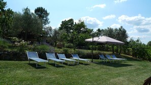 Property grounds - Villa with private swimming pool in quiet area, private garden, panoramic views (Radicondoli)