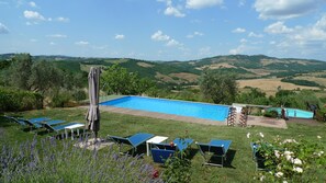 Outdoor pool, sun loungers - Villa with private swimming pool in quiet area, private garden, panoramic views (Radicondoli)