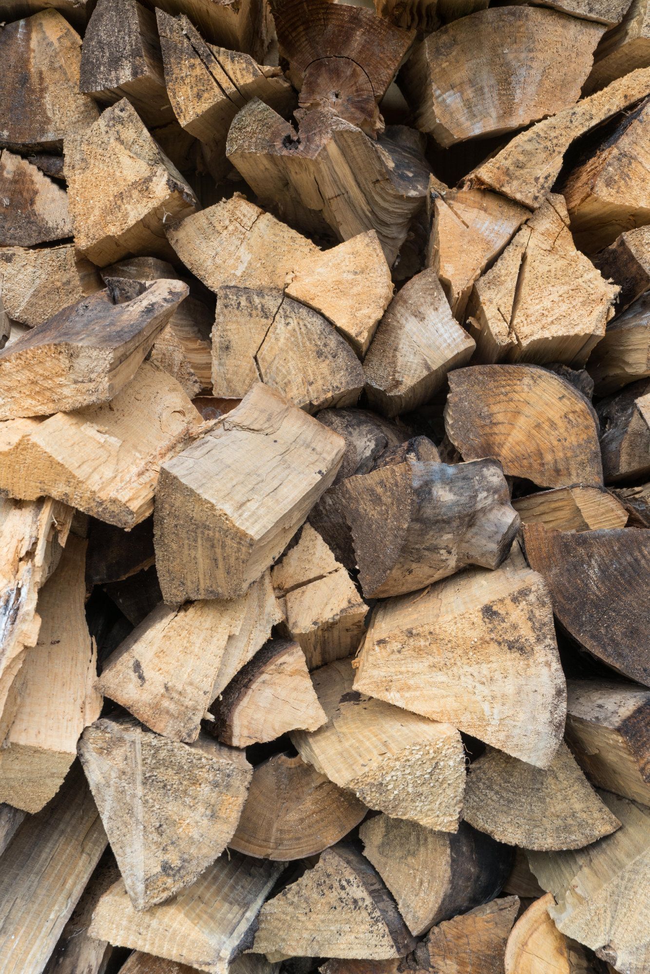 A close-up of stacked firewood logs.