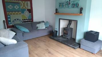 Smart TV, fireplace, video games, DVD player