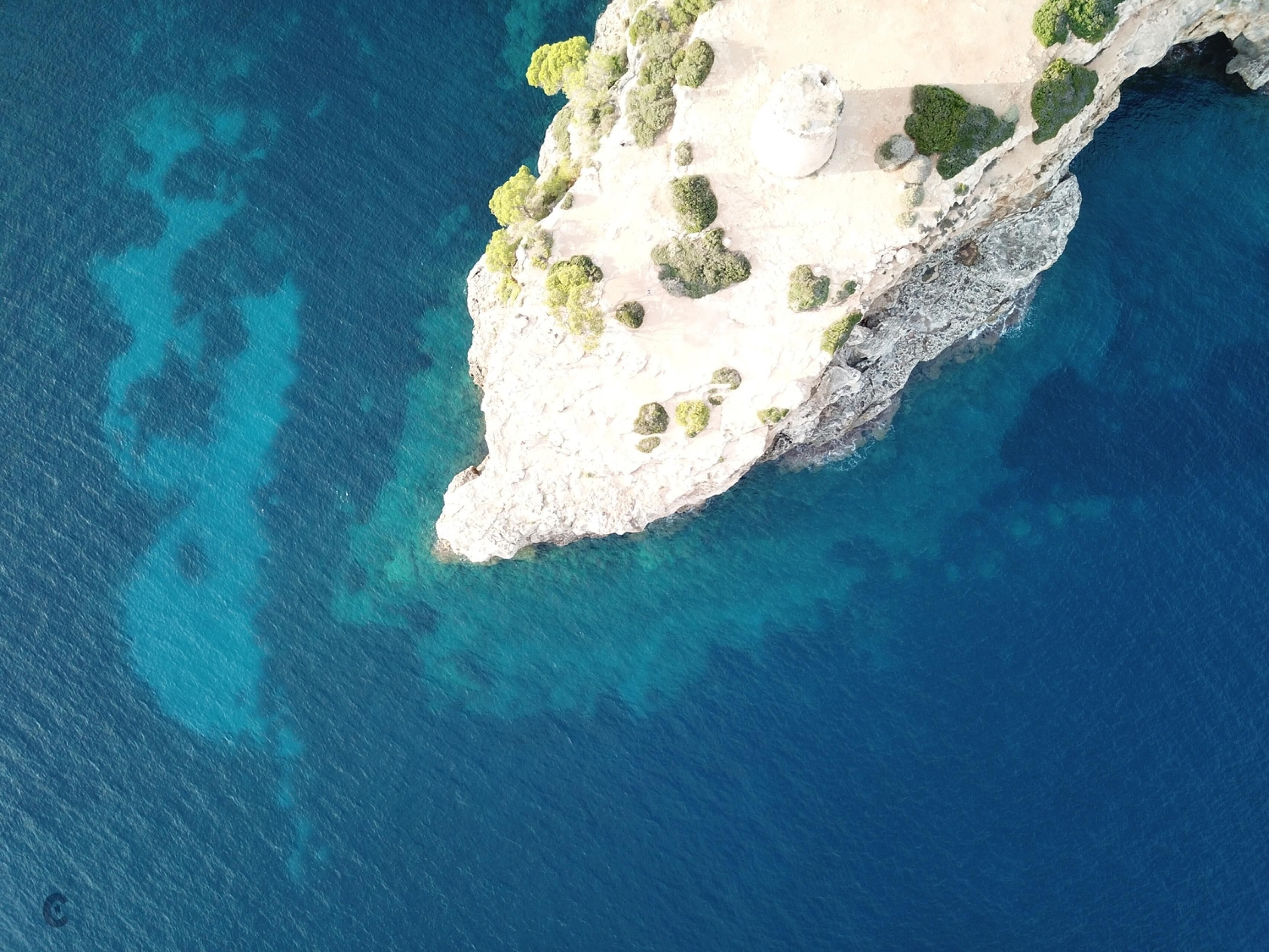 Vue aérienne d’une zone côtière, avec des eaux d’un bleu limpide et un terrain rocheux parsemé d’une végétation clairsemée.